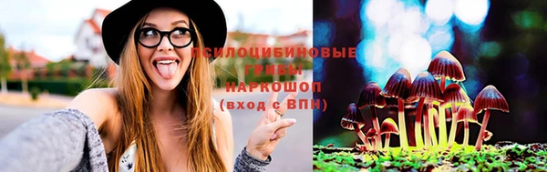 соль курить ск Алзамай