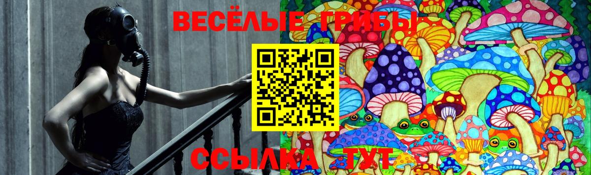 Галлюциногенные грибы Cubensis  Вход с VPN  Бирск 